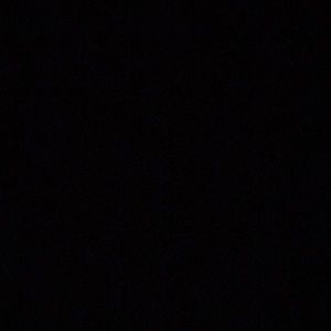 Meet your Posher, Antionette